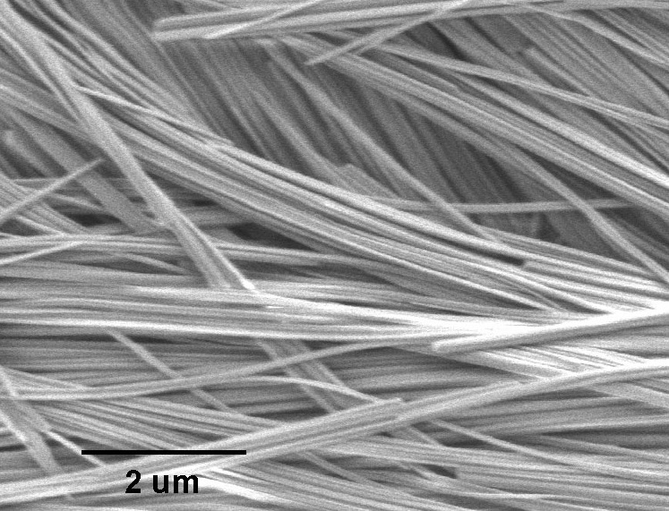 進(jìn)口三鉬酸鈉銨納米線Sodium Ammonium Trimolybdate (NaNH4Mo3O10) Nanowires