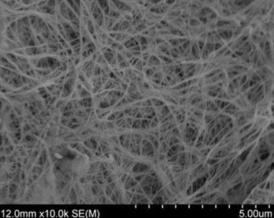 進(jìn)口纖維素納米纖維Cellulose Nanofibers (from Bacteria),纖維素納米纖維薄膜Cellulose Nanofiber Membranes